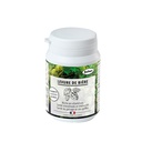 Media CD0597 1