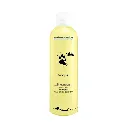 shampooing-argan-diamex- 250ml.webp