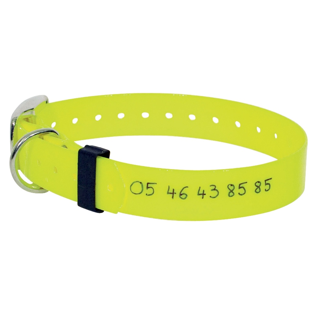 Media CF1291 2