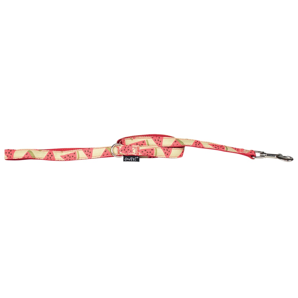 Media CF4241 1