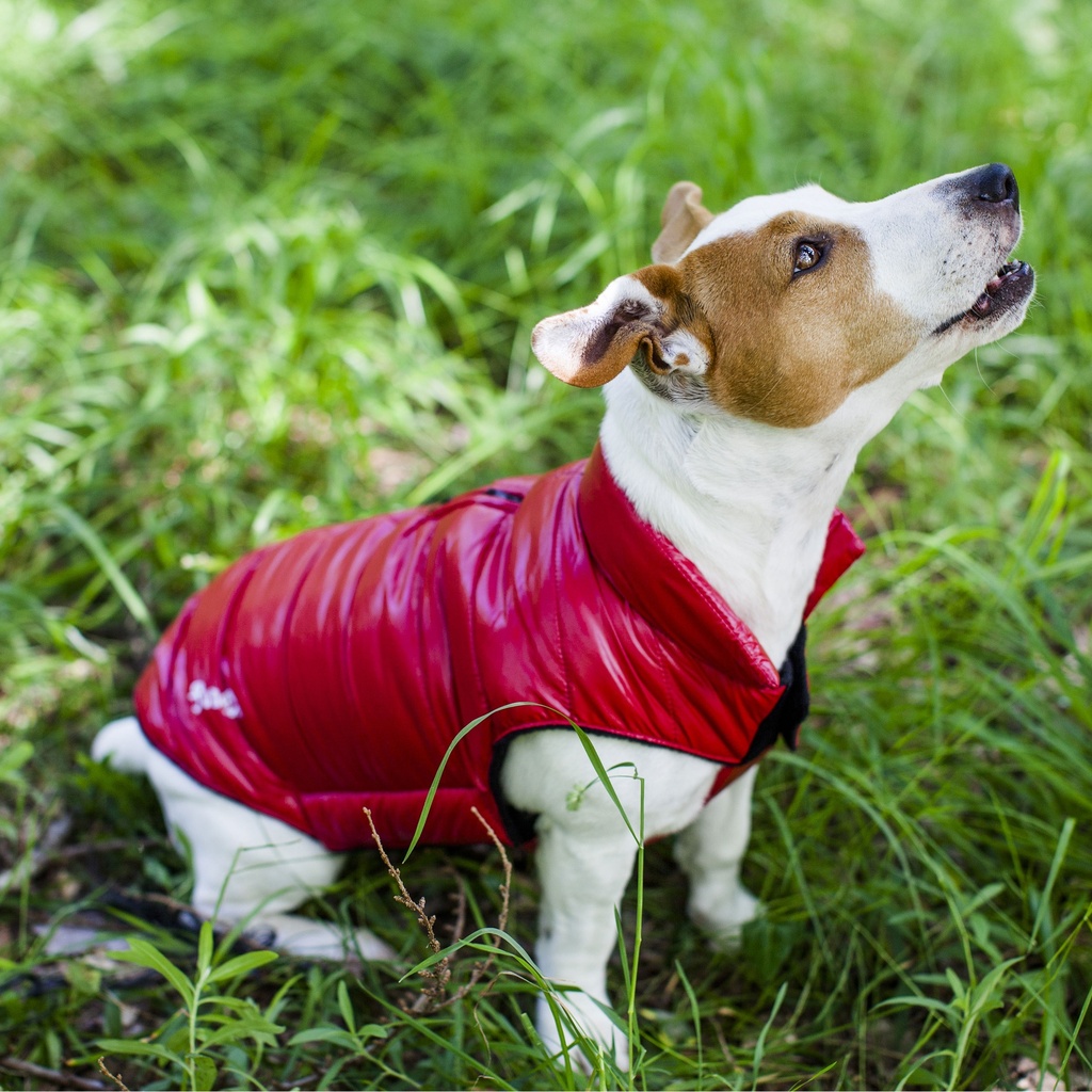 NEW DOUDOUNES FASHION FUN T25 ROUGE