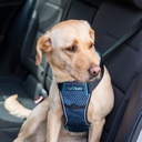 HARNAIS CARSAFE COLLISION BLEU L 72 à 86CM - TOUR DE COU : 60CM