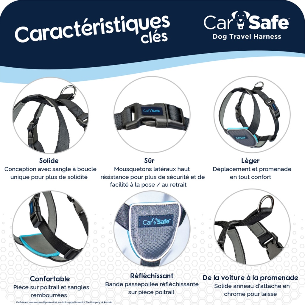 HARNAIS CARSAFE NOIR XS 40 à 52CM - TOUR DE COU 34CM
