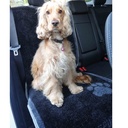 HOUSSE POUR SIEGE DE VOITURE 57X140CM