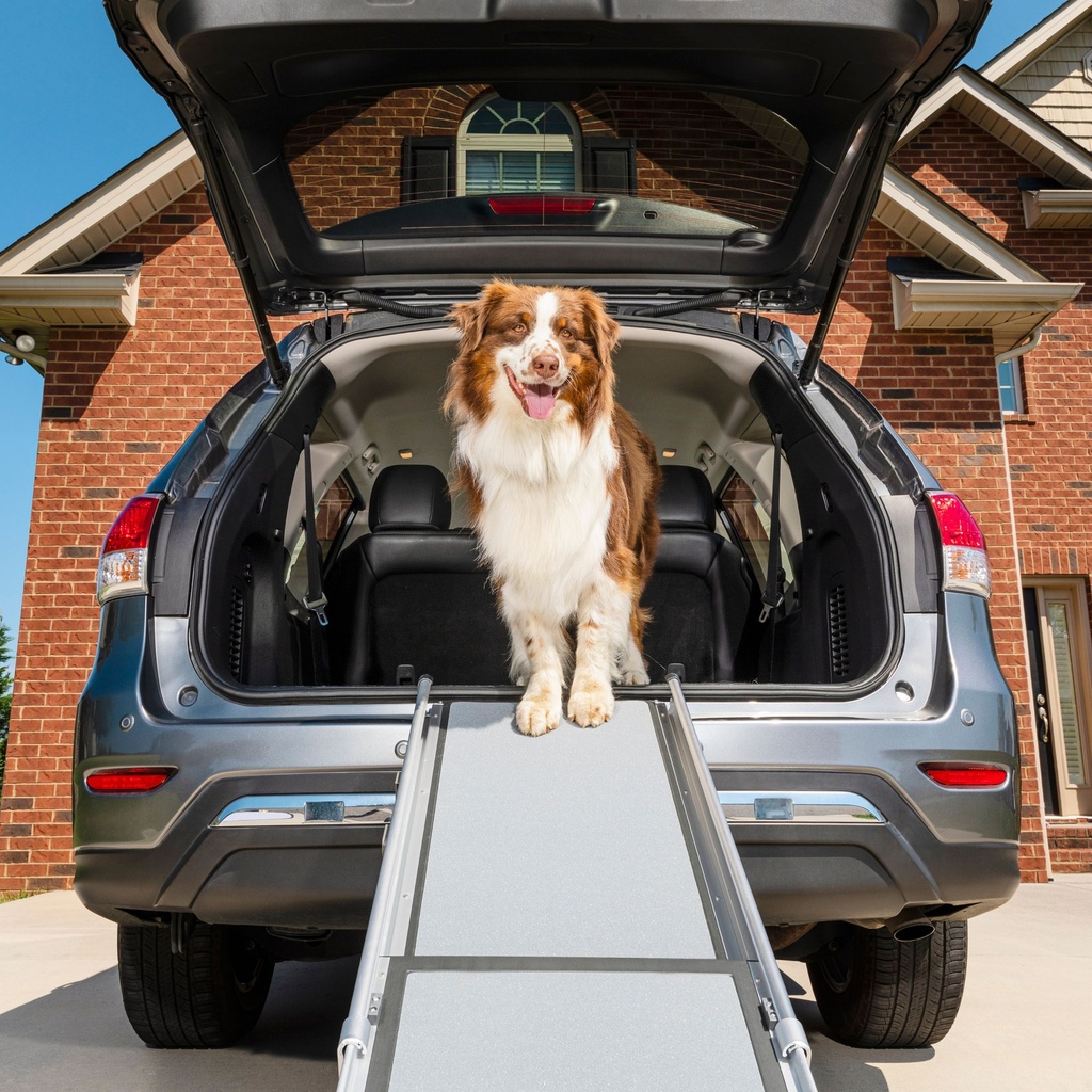 RAMPE POUR CHIEN HAPPY RIDE TELESCOPIQUE 99-183X43X10 CM