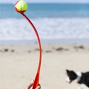 SHOOTER 65CM AVEC BALLE 7CM