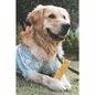 CHEESE TREAT NATURE TAILLE L 90-120G