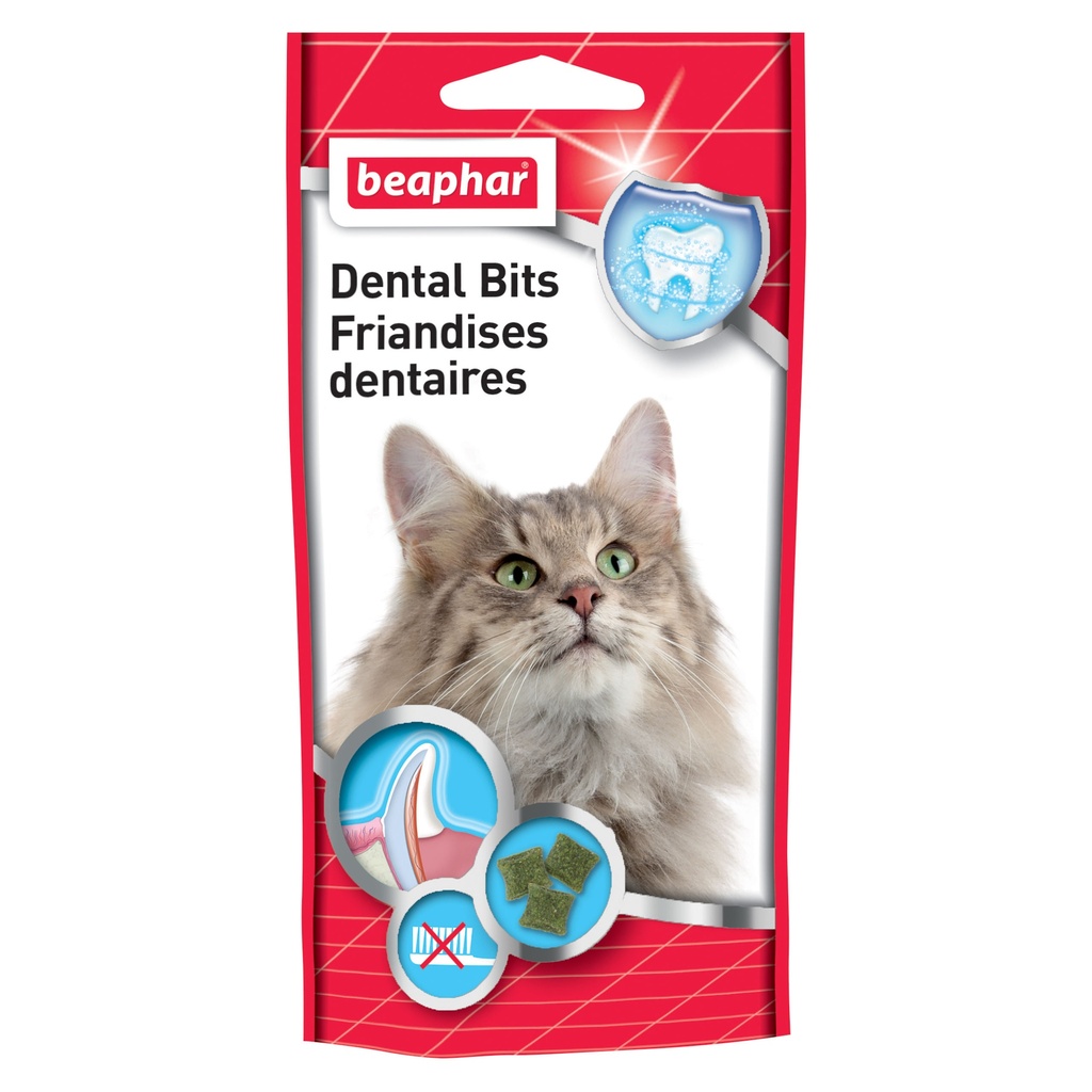 FRIANDISES CHAT DENTS SAINES 35 g
