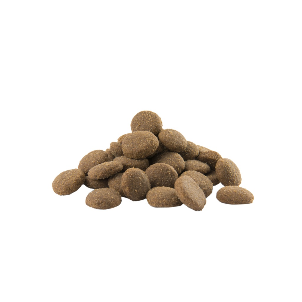 OPTILIFE CHIEN MAXI ADULT AU POULET - 12,5KG