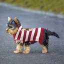 PULL RAYE RENNE DE NOEL T25