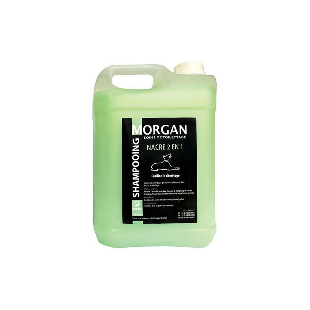 MORGAN SHAMPOOING NACRE 2 EN 1 5L