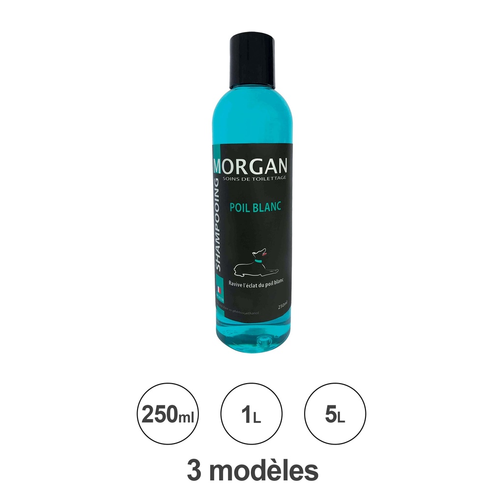MORGAN SHAMPOOING POIL BLANC 250ML