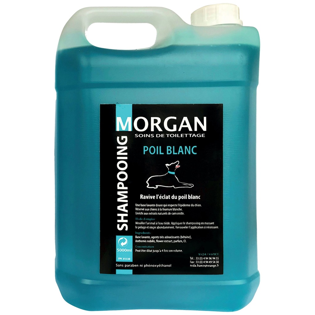 MORGAN SHAMPOOING POIL BLANC 5L