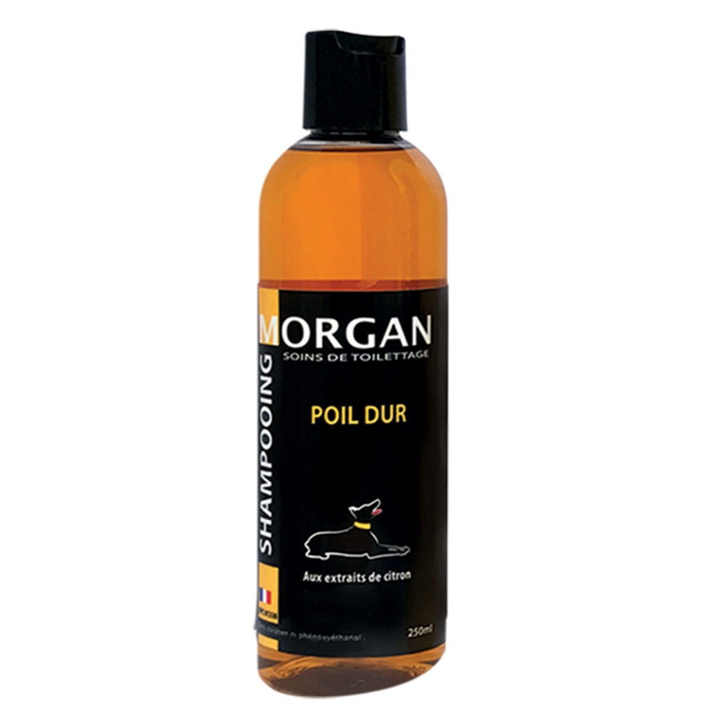 MORGAN SHAMPOOING POIL DUR 250ML