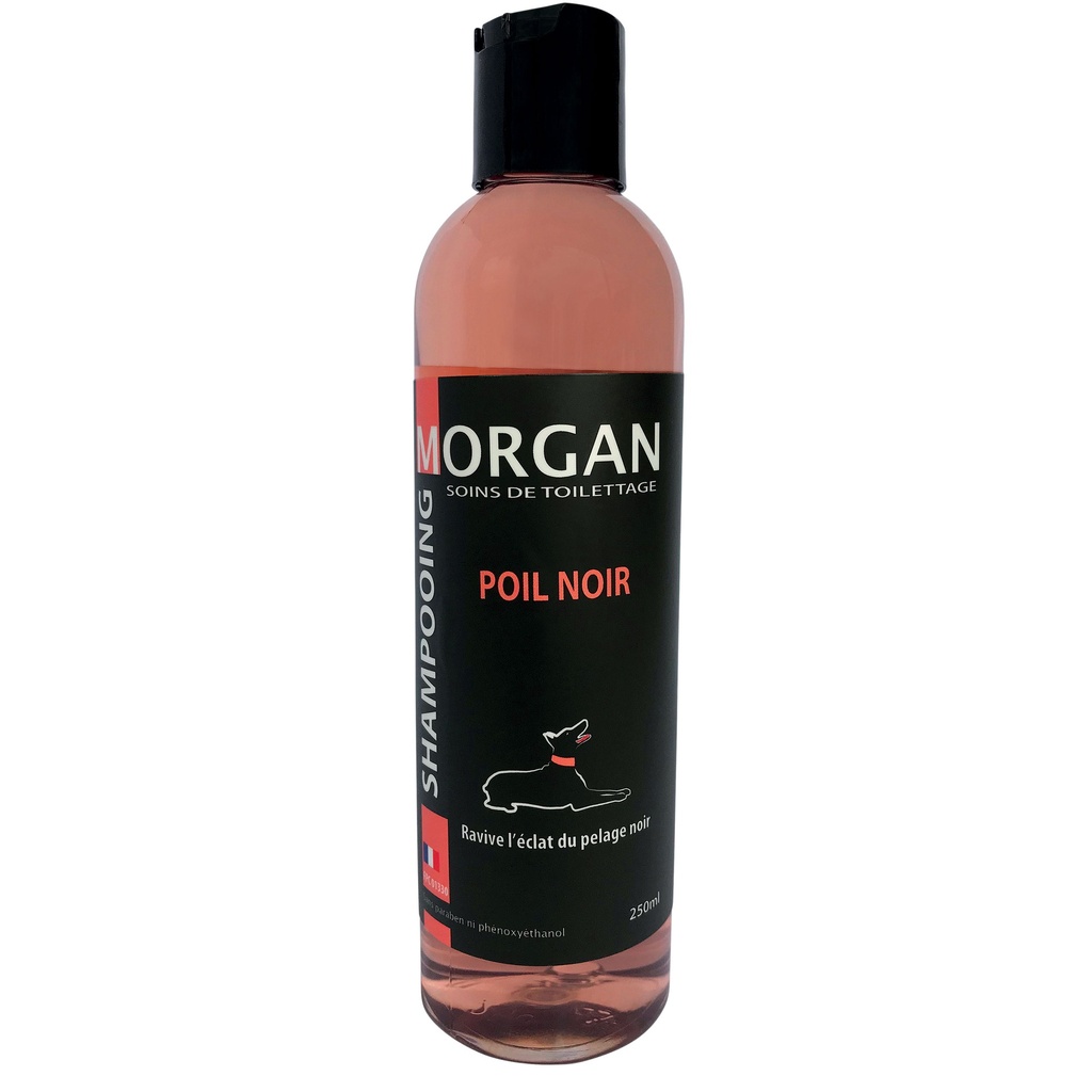 MORGAN SHAMPOOING POIL NOIR 250ML
