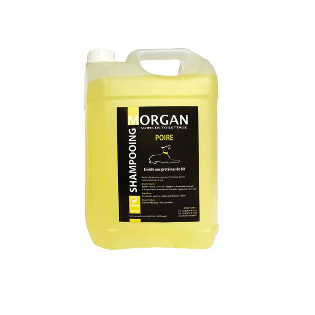 MORGAN SHAMPOOING POIRE 5L