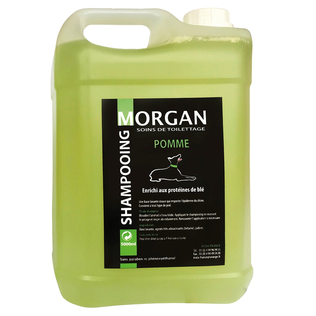 MORGAN SHAMPOOING POMME 5L