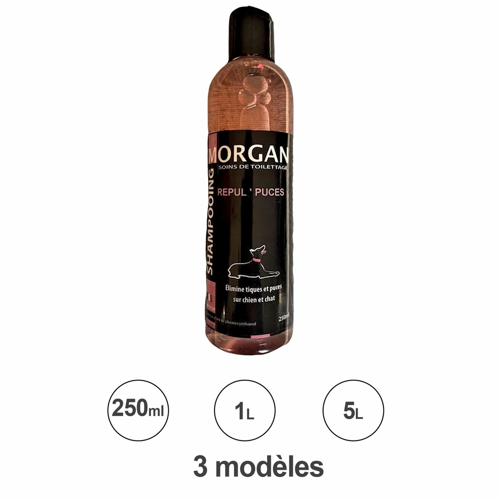MORGAN SHAMPOOING REPUL'PUCE 250ML