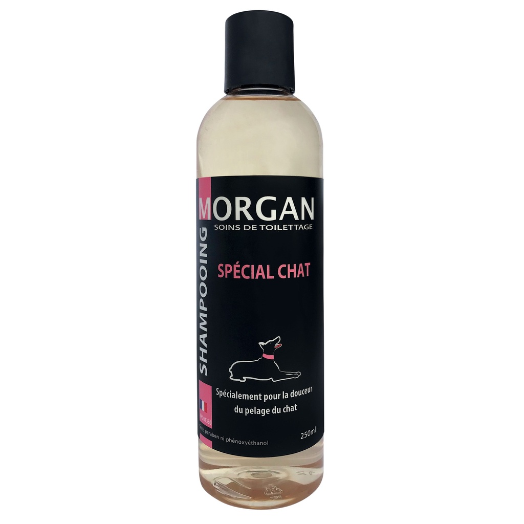 MORGAN SHAMPOOING SPECIAL CHAT 250ML