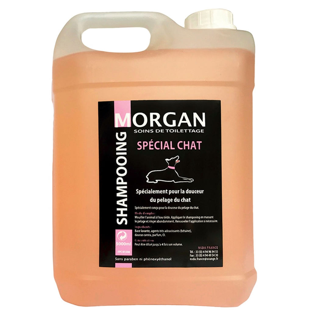 MORGAN SHAMPOOING SPECIAL CHAT 5L