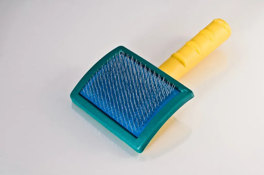 S1020 CARDE PICOTS DURS (copie)