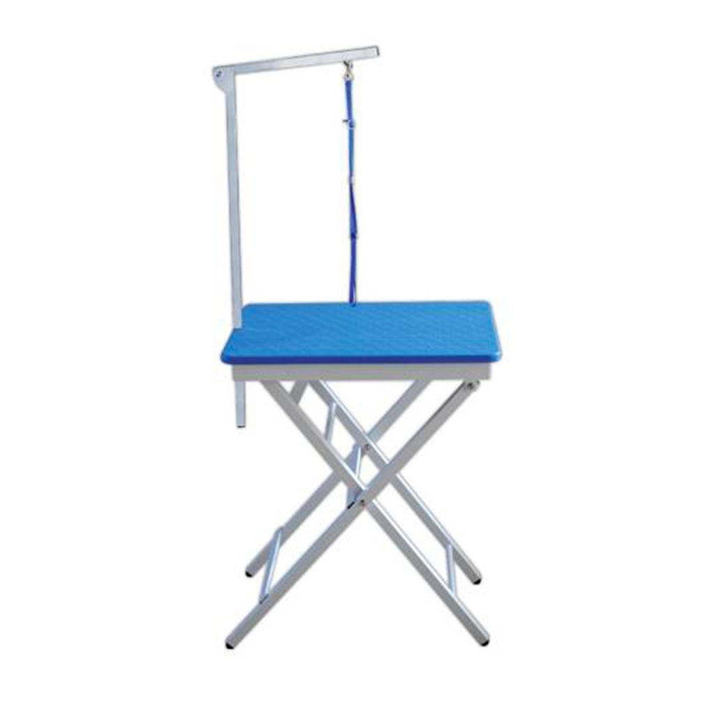 TABLE PLIANTE PORTABLE PLASTIQUE BLEUE 60X45X73 (82) CM 8 KG