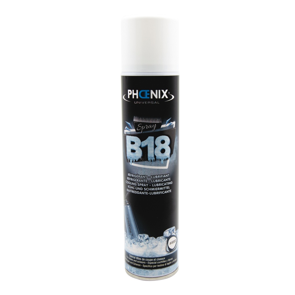 B18 SPRAY REFRIGERANT LUBRIFIANT 300ML