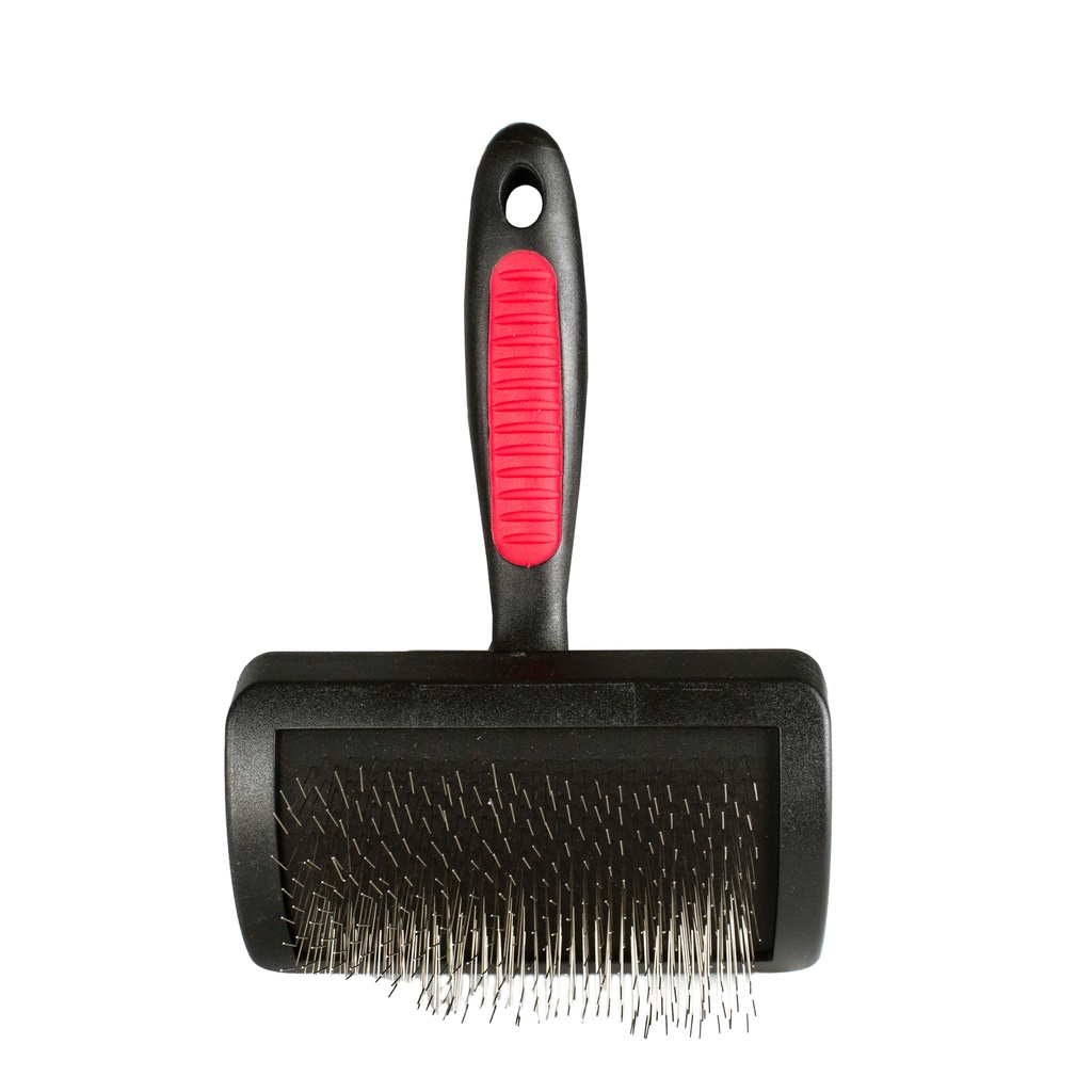 [CB0791] CARDE LUCIA MEDIUM PICOTS SOUPLES LONGS 2.2 CM