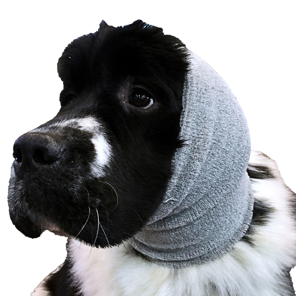 EAR BUDDY XL - GRIS