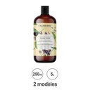 SHAMPOING PROTECTEUR - ECO SOIN BIO 250ML