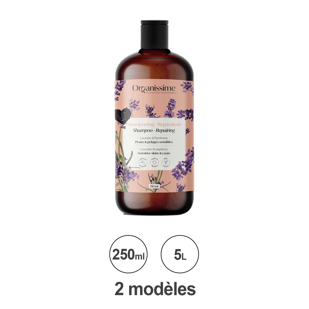 SHAMPOING REPARATEUR - ECO SOIN BIO 250