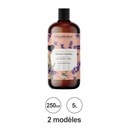 SHAMPOING REPARATEUR - ECO SOIN BIO 250