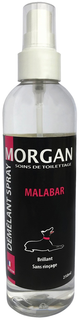 MORGAN DEMELANT SPRAY SENTEUR MALABAR 250ML