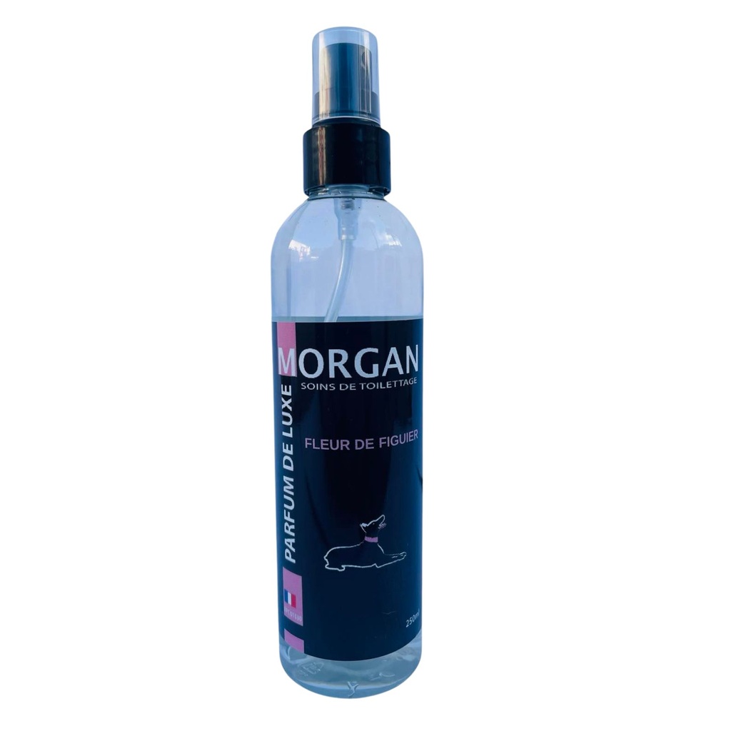 MORGAN PARFUM DE LUXE BOIS D'ORANGE 250ML