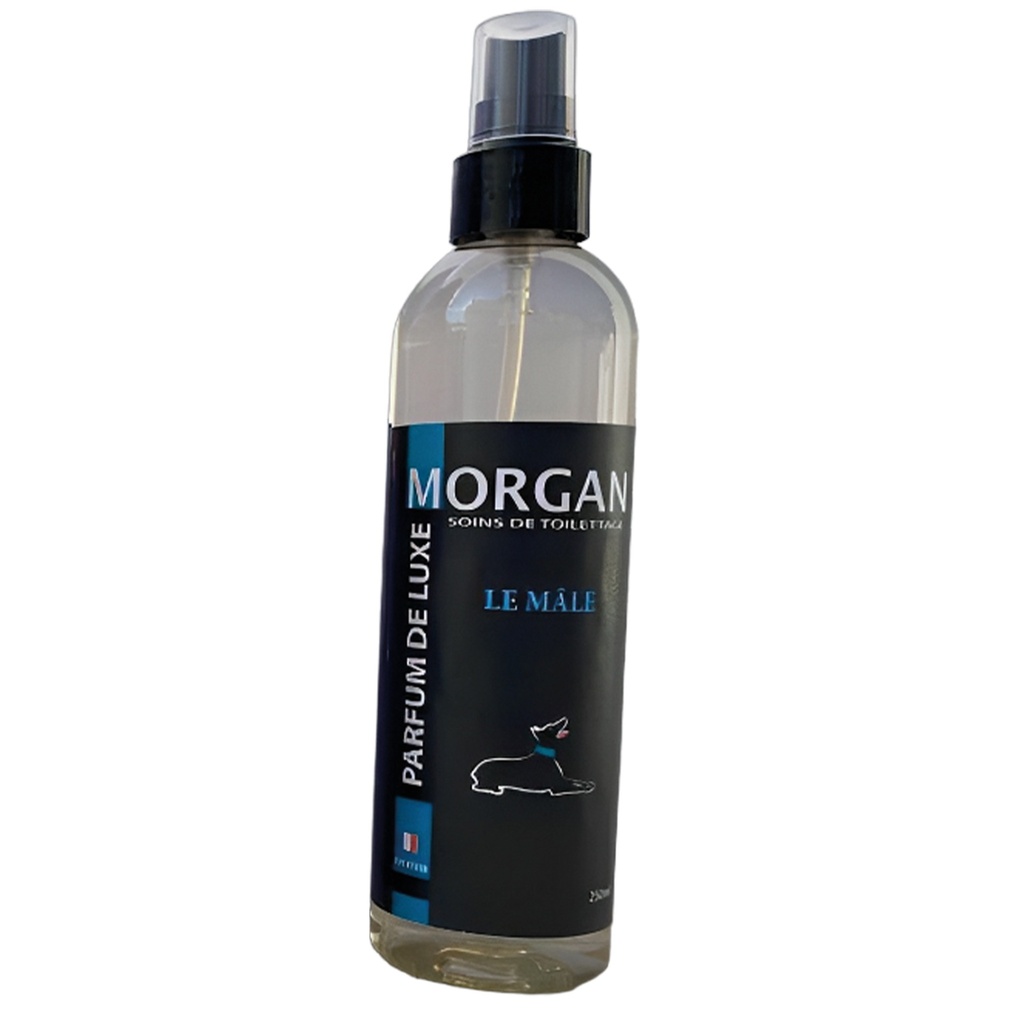 MORGAN PARFUM DE LUXE LE MALE 250ML