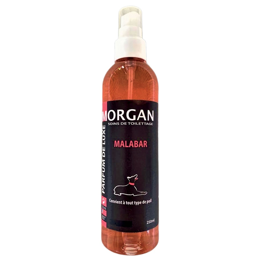 MORGAN PARFUM DE LUXE MALABAR 250ML
