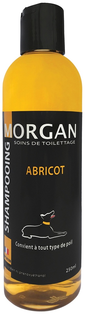 MORGAN SHAMPOOING ABRICOT 250ML
