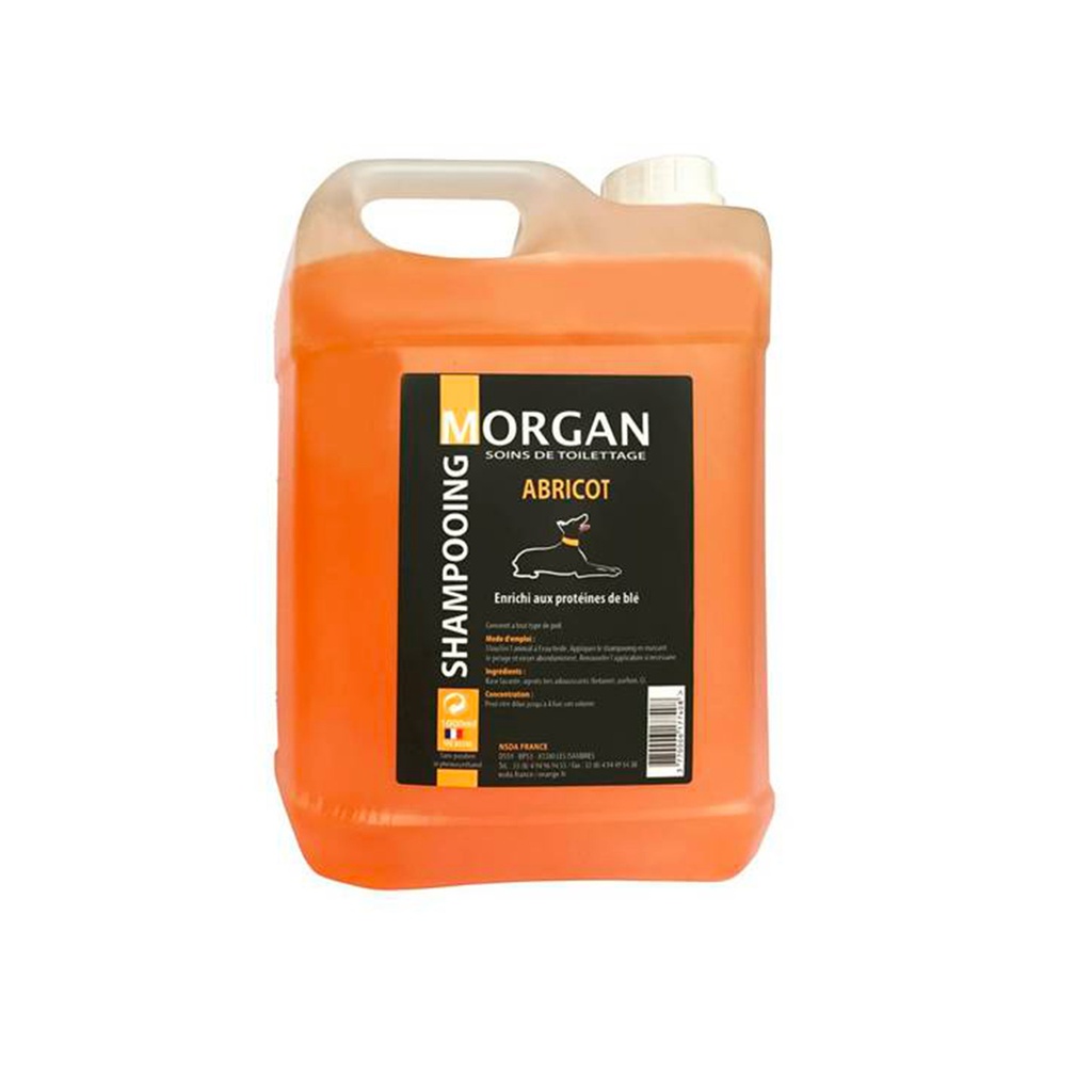 MORGAN SHAMPOOING ABRICOT 5L