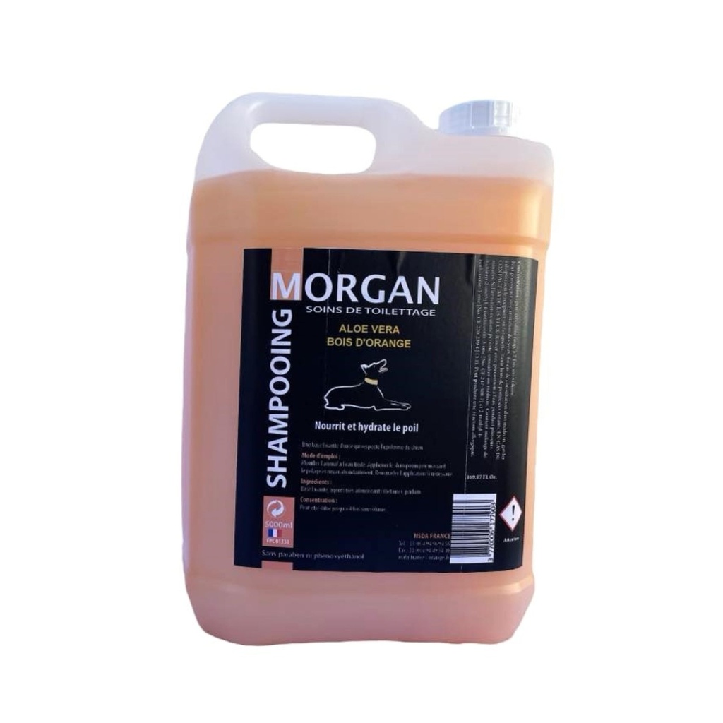 MORGAN SHAMPOOING ALOE VERA BOIS D'ORANGE 5L