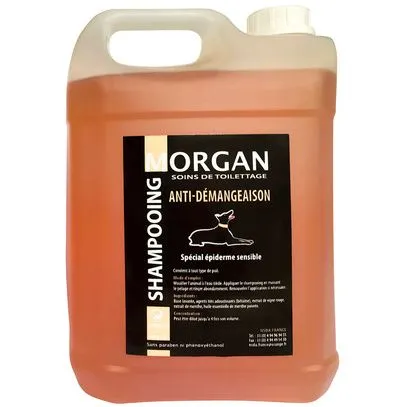 MORGAN SHAMPOOING ANTI–DEMANGEAISON 5L