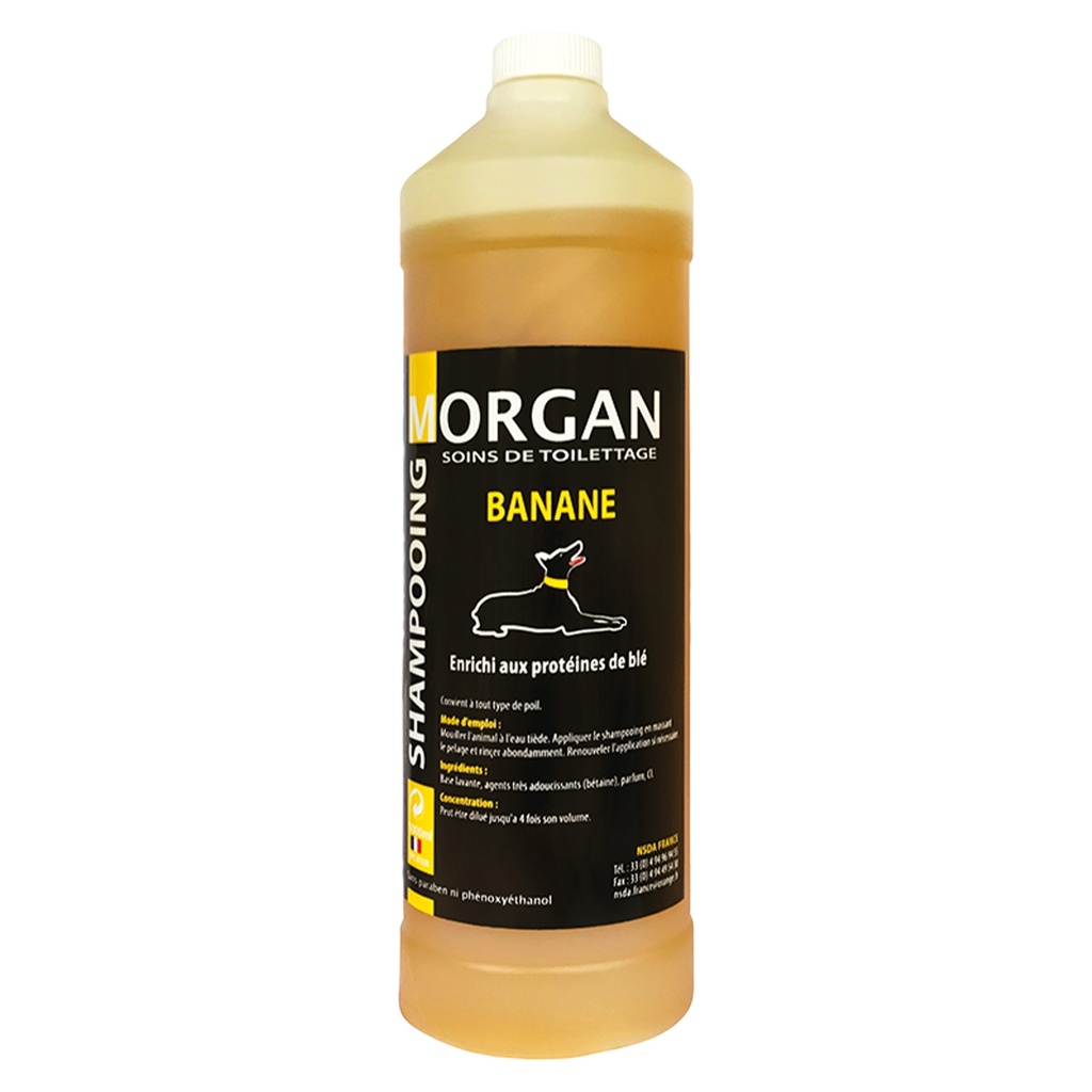 MORGAN SHAMPOOING BANANE 1L