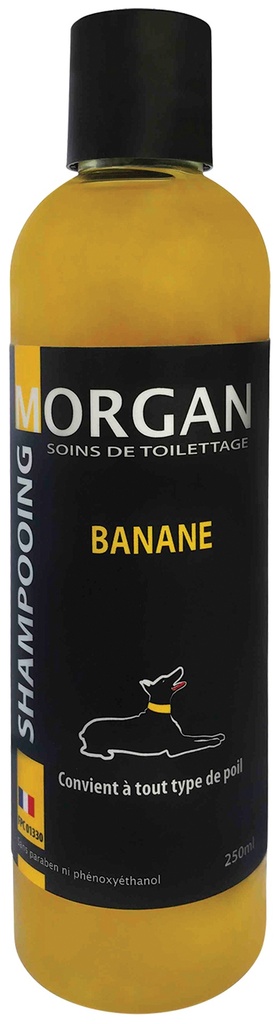 MORGAN SHAMPOOING BANANE 250ML