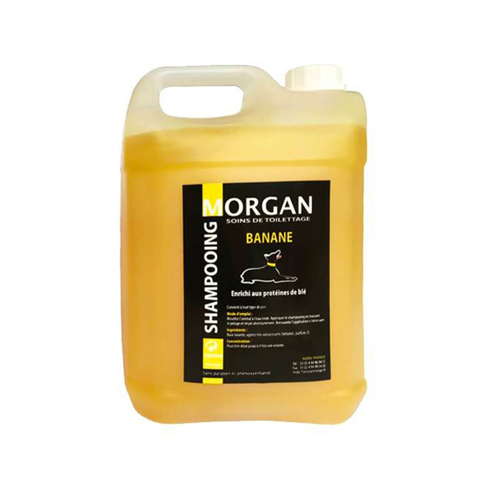 MORGAN SHAMPOOING BANANE 5L