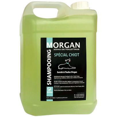 MORGAN SHAMPOOING CHIOT A L'HUILE D'ARGAN 5L