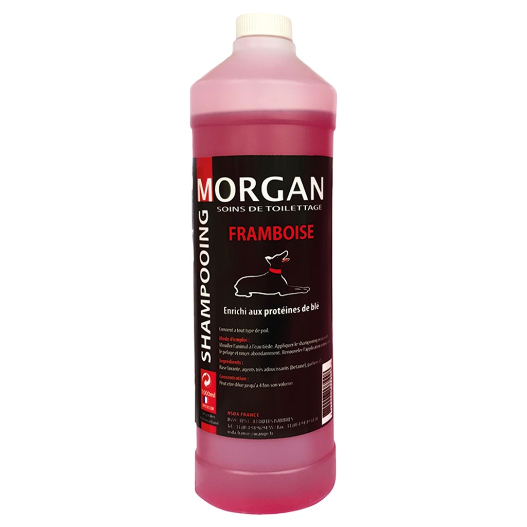MORGAN SHAMPOOING FRAMBOISE 1L