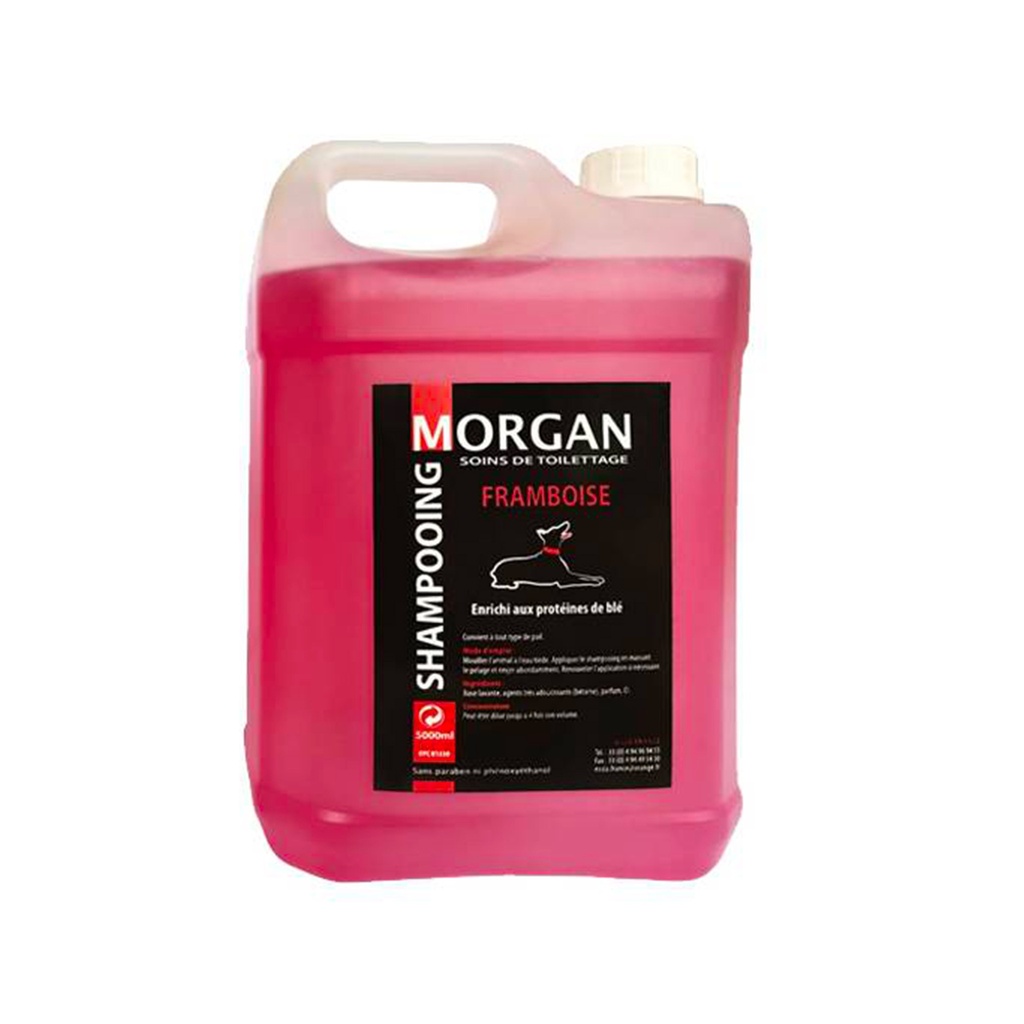 MORGAN SHAMPOOING FRAMBOISE 5L