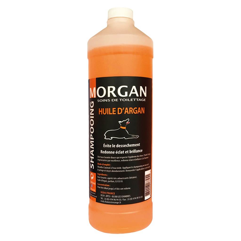 MORGAN SHAMPOOING HUILE D'ARGAN 1L