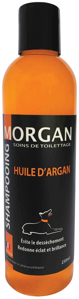 MORGAN SHAMPOOING HUILE D'ARGAN 250ML