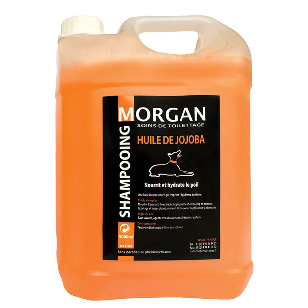 MORGAN SHAMPOOING JOJOBA 5L