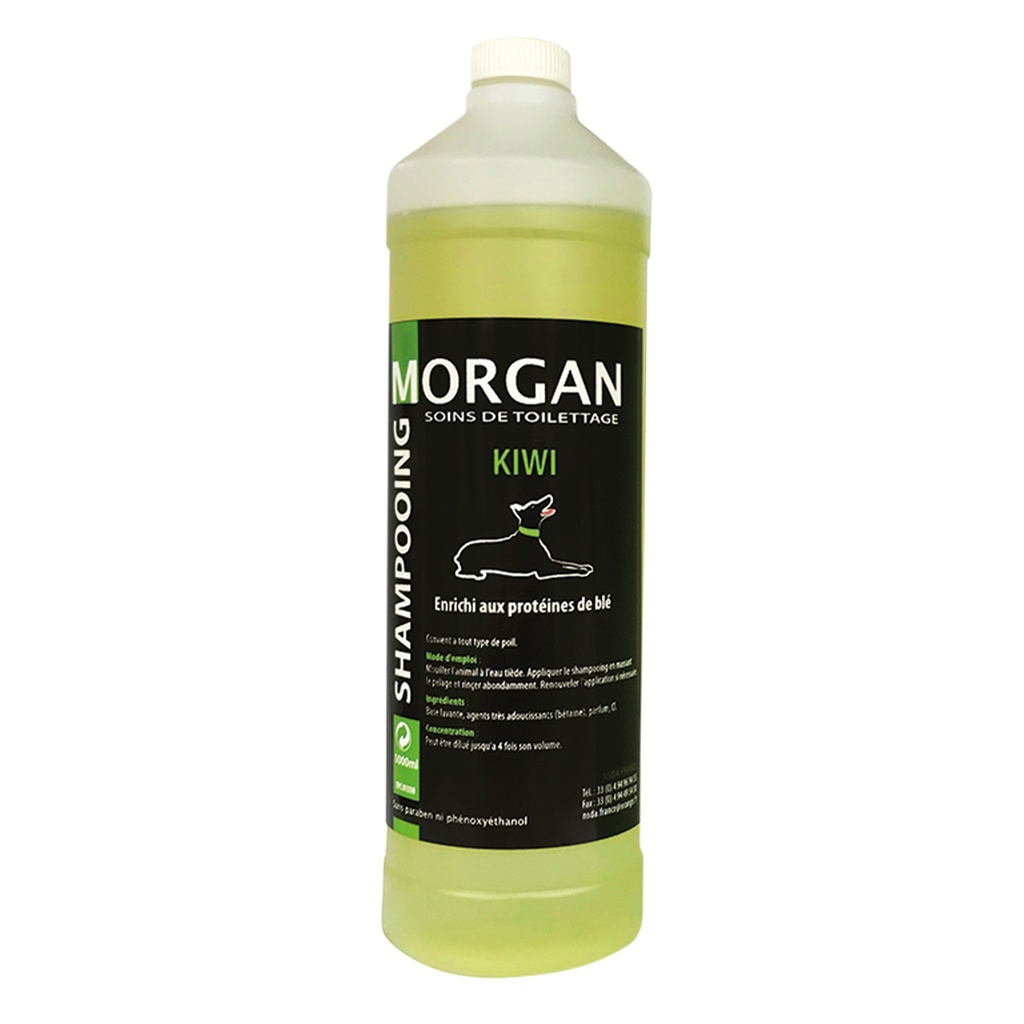 MORGAN SHAMPOOING KIWI 1L
